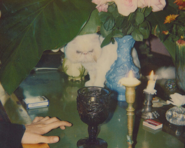 Dash Snow: Carrion